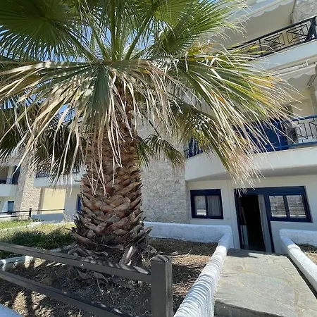 Summer Palm *