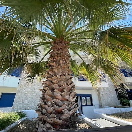 Summer Palm Appartement