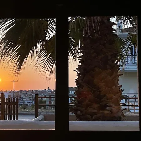 Summer Palm